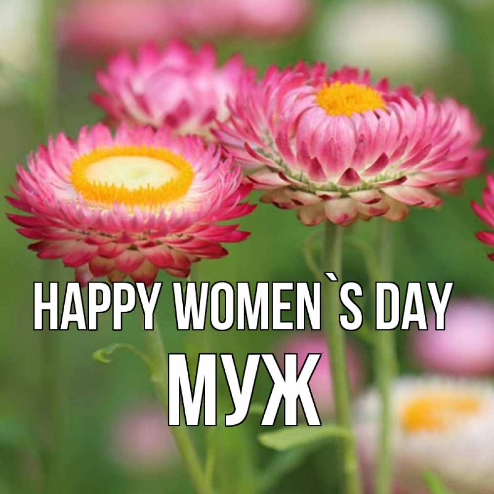 Greetings card с именем, Муж happy women`s day подарок на международный женский день Greetings with text for free download 